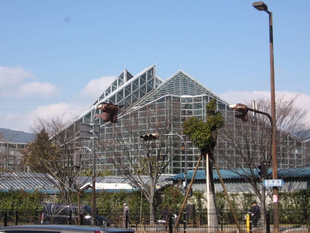 植物園