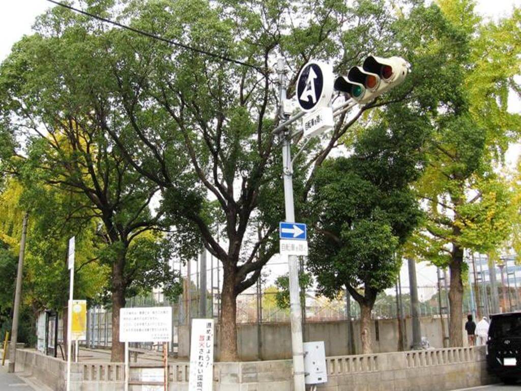今津公園