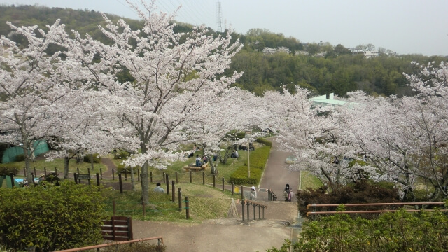 大阪府高槻市はどんな街?