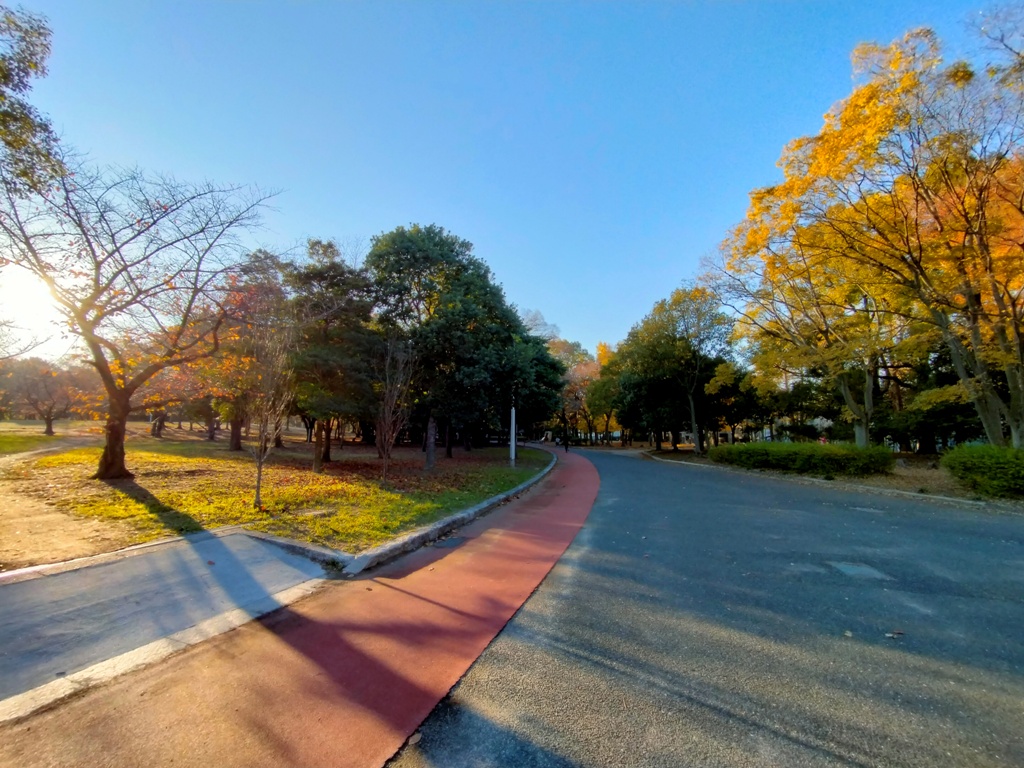 久宝寺緑地