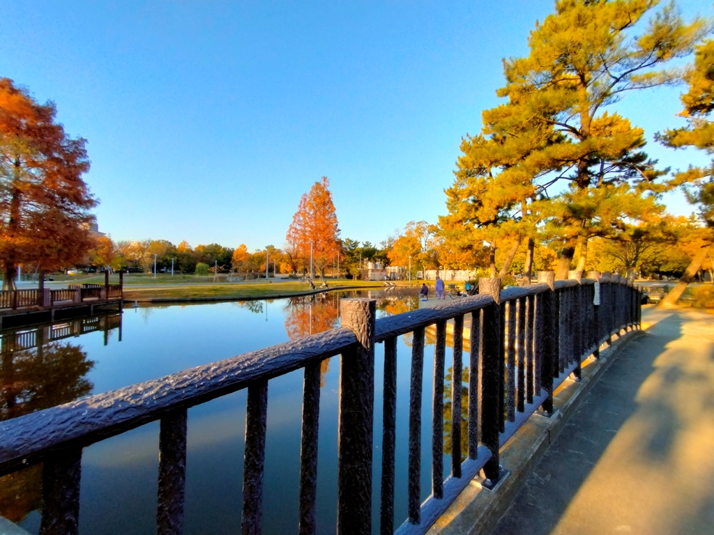 久宝寺緑地水辺広場